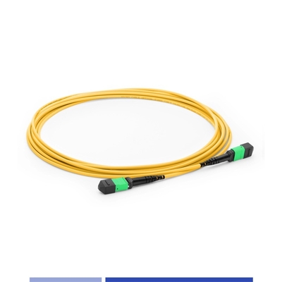 comprare 12 Core MTP® Fiber Optic Patch Cord Female Single Mode G652D 10m Fiber Patch Cables OFNP Tipo B fabbricazione online