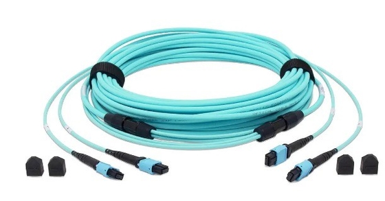 comprare 24 Fibra OM3 MTP® Fibra ottica Cable tronco femminile OM3 Multimode 3m LSZH fabbricazione online